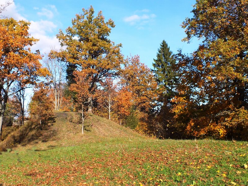 Autumn Trees on a Hill — Orange, Serene