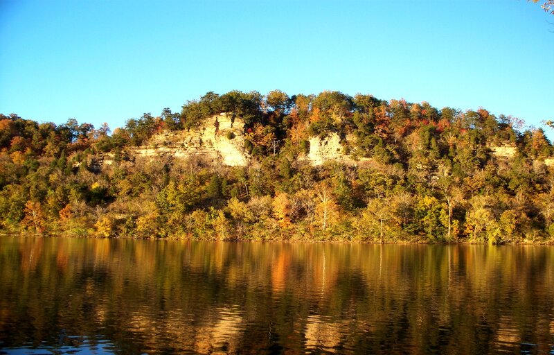 Autumn Trees on Cliff