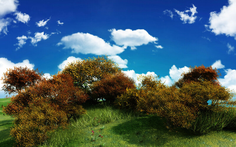 Autumn Trees on Hill — Blue, Serene, Afternoon, Digital Art, Grass, Clouds, Sky, Green, Orange