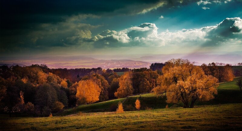 Autumn Trees on Hills — Orange, Dramatic, Photograph