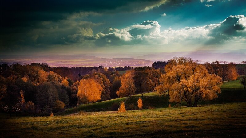 Autumn Trees on Hills — Orange, Dramatic