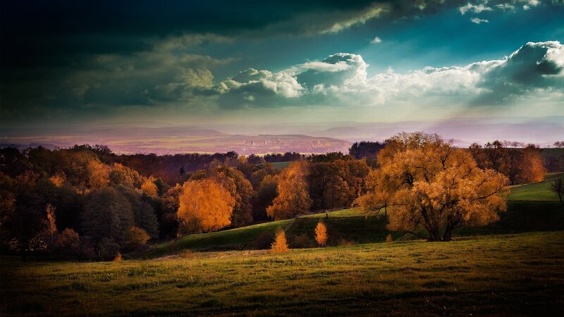 Autumn Trees on Hills — Orange