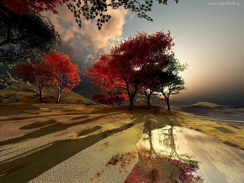 Autumn Trees on Hills — Red, Serene, Sunset