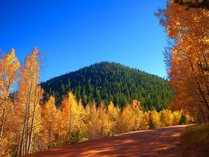 Autumn Trees on Hillside — Blue, Serene