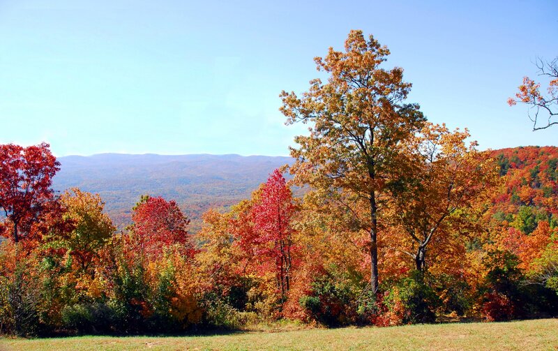 Autumn Trees on Hillside — Red, Serene, Photograph, Mountains