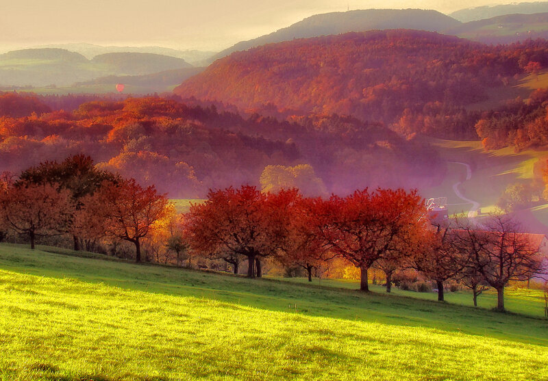 Autumn Trees on Hillside — Red