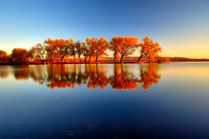 Autumn Trees on Island — Blue, Serene, Sunset