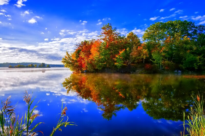 Autumn Trees on Island — Blue, Serene