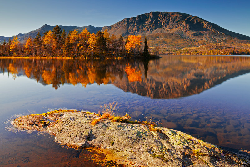 Autumn Trees on Island — Blue