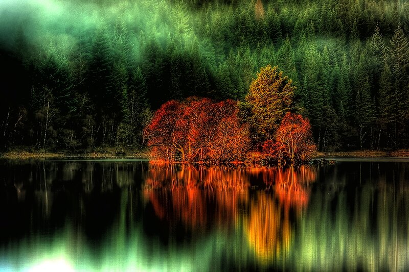 Autumn Trees on Island — Green