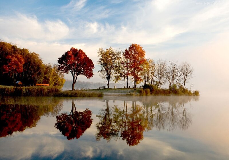 Autumn Trees on Island — Red