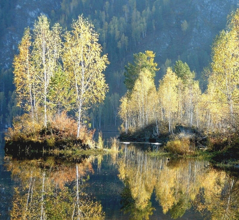 Autumn Trees on Island — Yellow