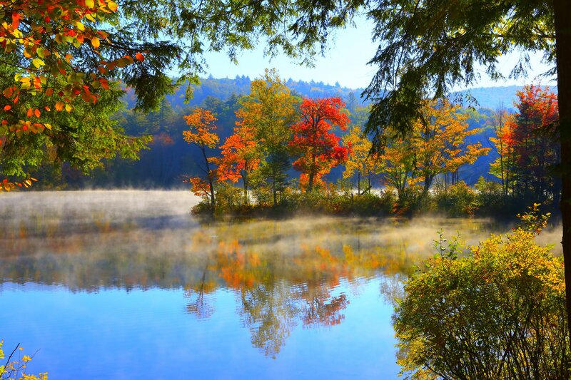 Autumn Trees on Lake — Blue, Serene, Morning, Photograph, Mist, Reflection