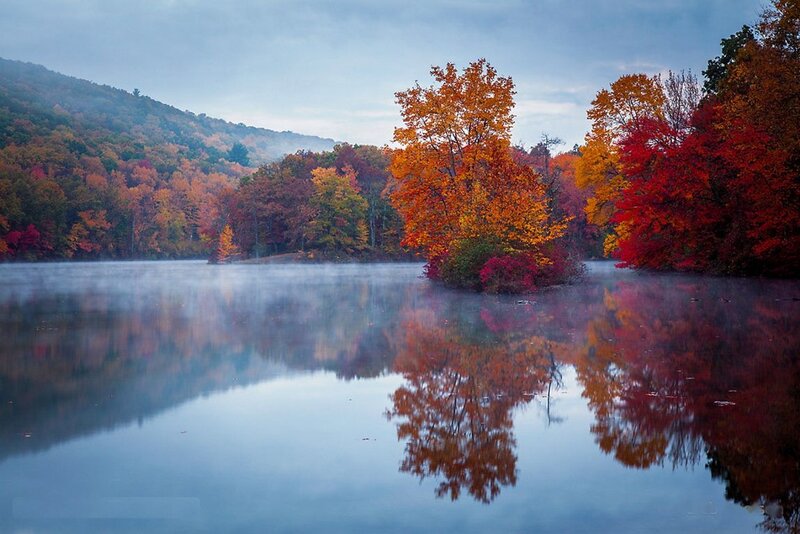 Autumn Trees on Lake — Blue, Serene, Morning, Photograph, Mist