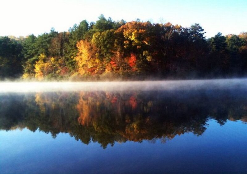 Autumn Trees on Lake — Blue, Serene, Morning, Photograph