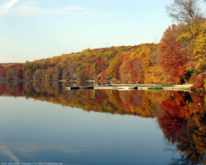 Autumn Trees on Lake — Blue, Serene, Photograph