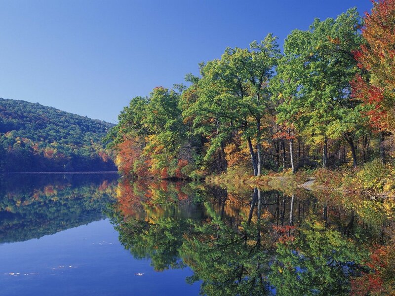 Autumn Trees on Lake — Blue, Serene
