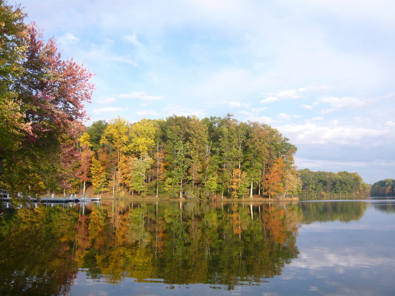 Autumn Trees on Lake — Green