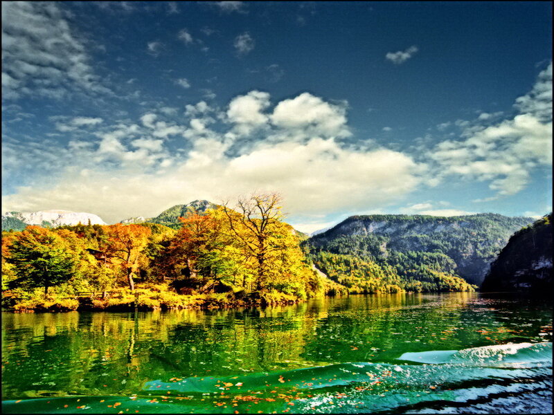 Autumn Trees on Lake Island