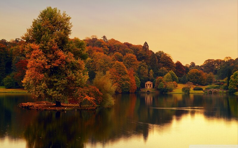 Autumn Trees on Lake — Orange, Serene