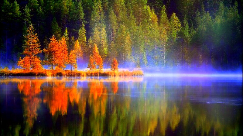 Autumn Trees on Lake — Orange