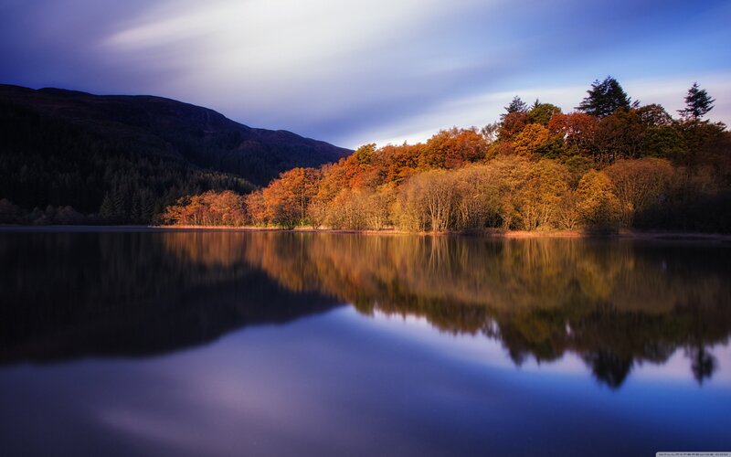 Autumn Trees on Lake Shore — Blue, Serene, Sunset, Photograph
