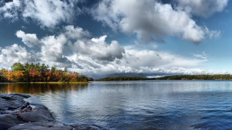 Autumn Trees on Lake Shore — Dramatic
