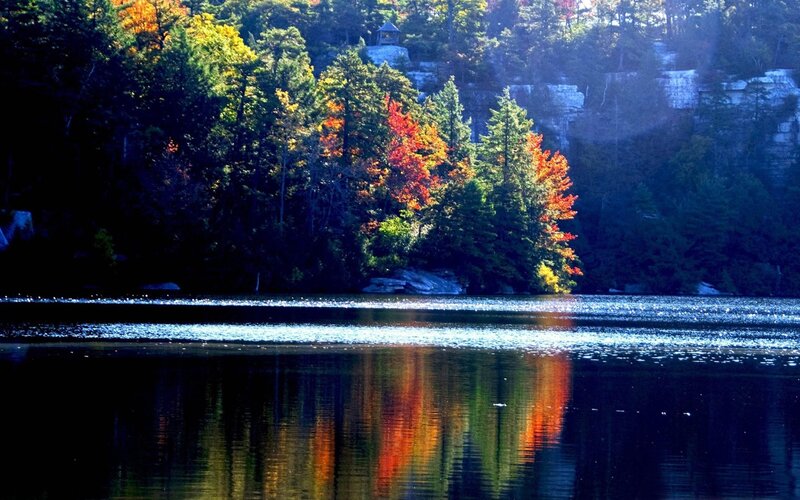 Autumn Trees on Lake Shore — Green, Serene