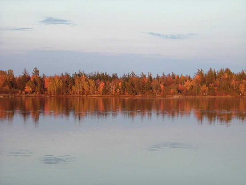 Autumn Trees on Lake Shore — Orange, Serene, Sunset