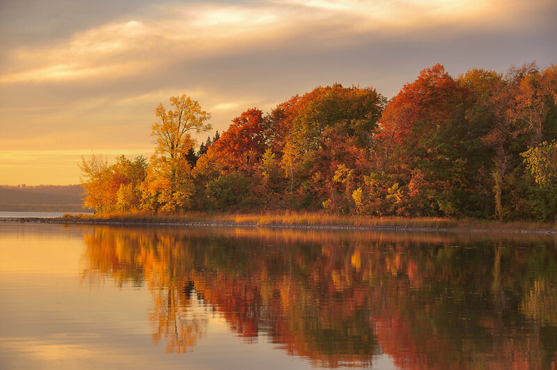 Autumn Trees on Lake Shore — Orange