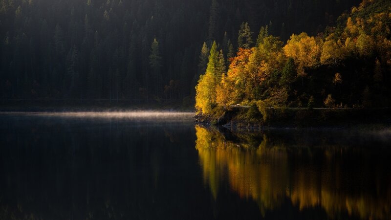 Autumn Trees on Lake Shore — Yellow