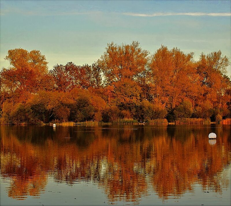 Autumn Trees on Lake