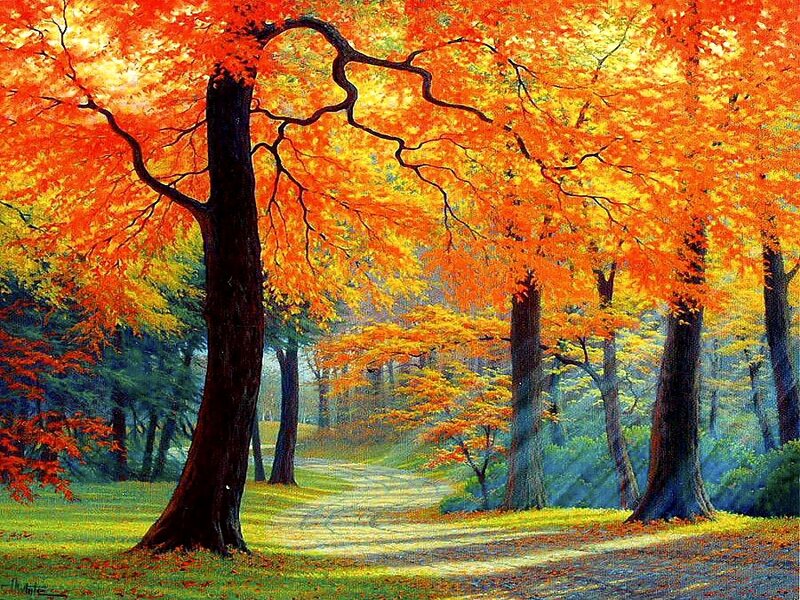 Autumn Trees on Path — Orange, Serene, Painting, Forest