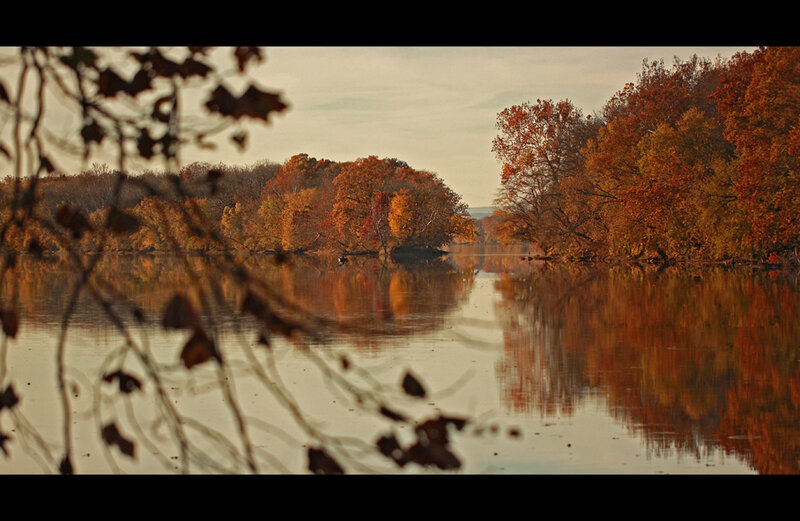 Autumn Trees on River