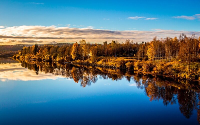 Autumn Trees on Riverbank — Blue, Serene