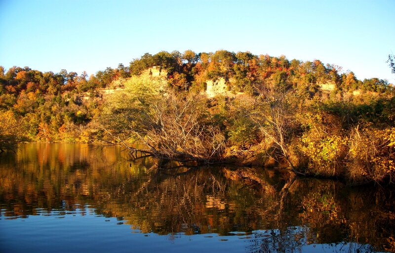 Autumn Trees on Riverbank