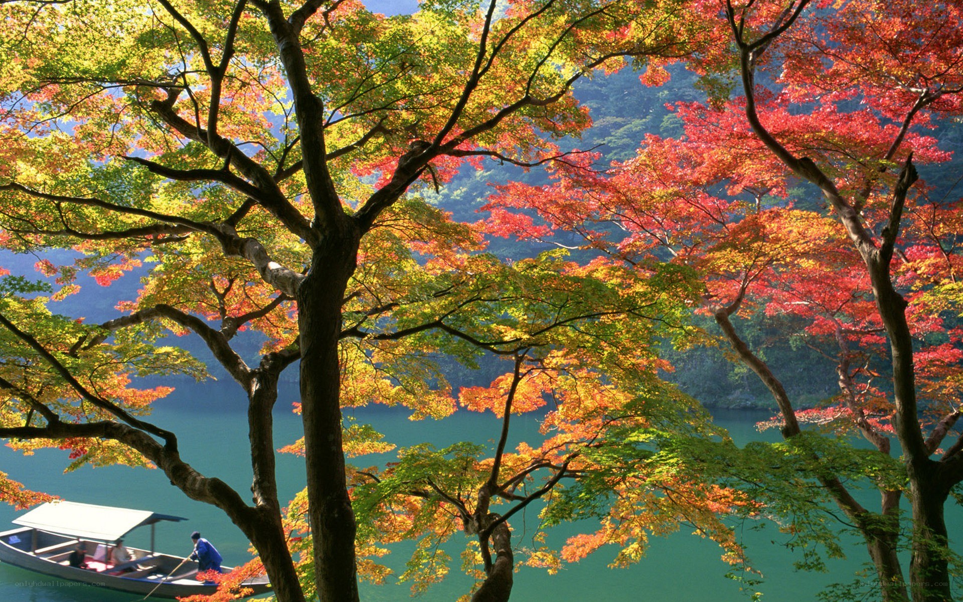 Autumn trees over a lake