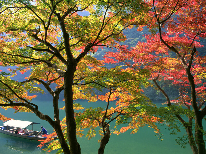 Autumn trees over a lake