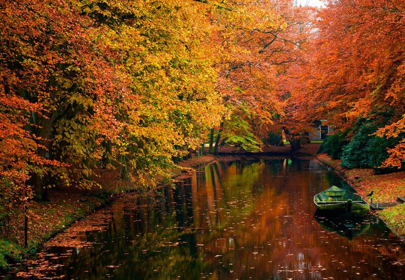 Autumn Trees over Canal — Boat