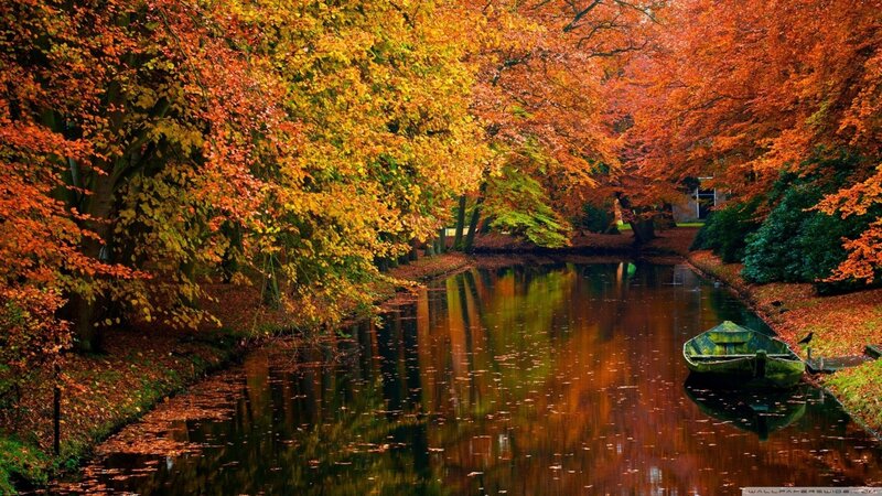 Autumn Trees over Canal — Orange, Serene, Photograph, Boat