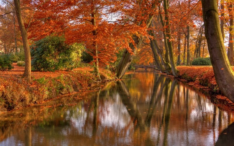Autumn Trees over Canal — Orange, Serene, Photograph, Bridge, Leaves
