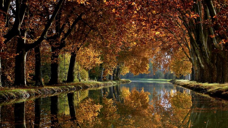 Autumn Trees over Canal — Orange, Serene, Photograph, Reflection