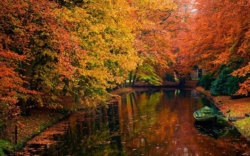 Autumn Trees over Canal — Orange, Serene, Photograph