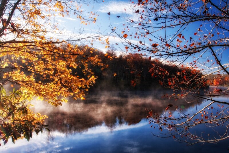 Autumn Trees over Lake — Blue