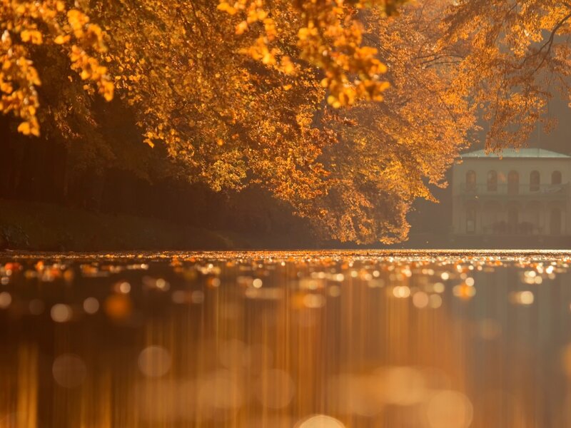 Autumn Trees over Lake — Orange