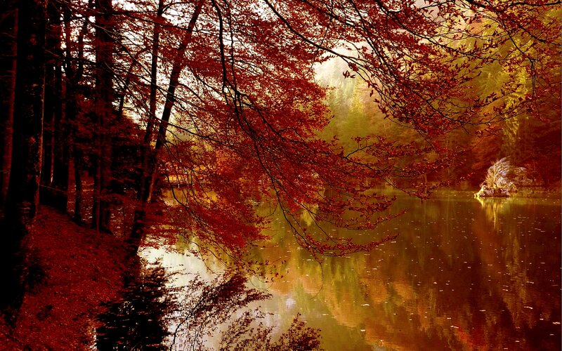 Autumn Trees over Lake