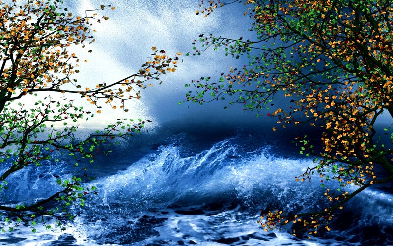 Autumn Trees over Ocean
