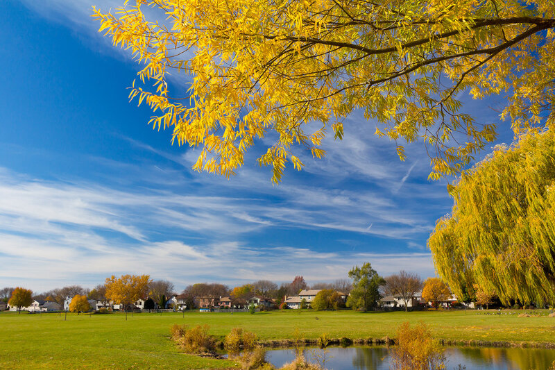 Autumn Trees over Pond — Blue