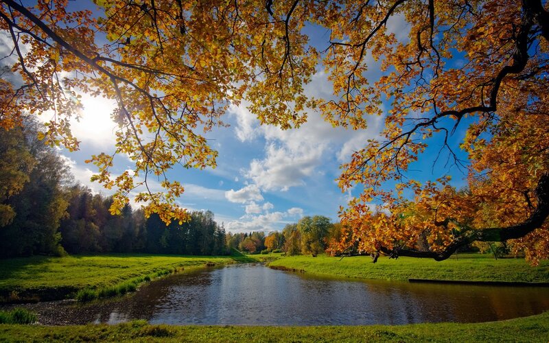 Autumn Trees over River — Yellow