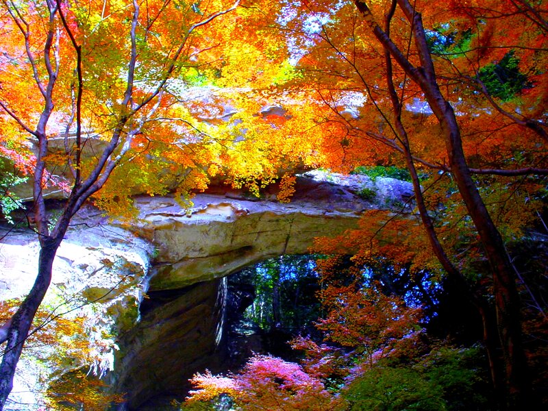 Autumn Trees over Rock Arch